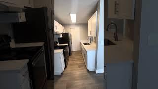 C304 one bedroom emerald reno