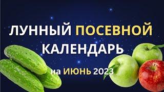 Благоприятные дни для посева: лунный календарь огородника на Июнь 2023