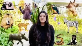 Reading With Jess: Animals Rhymes