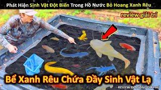 Phát Hiện Sinh Vật Đột Biến Độc Lạ Trong Hồ Nước Đã Bỏ Hoang Rêu Xanh Rì || Review Giải Trí Đời Sống