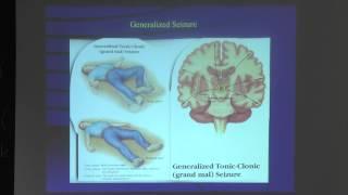 Lecture 13: Wavelet Analysis & Nonlinear Systems, Dr. Wim van Drongelen