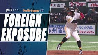 Freddy Galvis | Foreign Exposure (03/25/22)