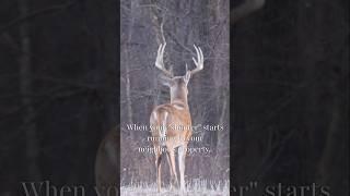 When Your Target Buck Runs Away 