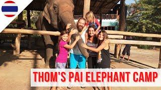 THOM'S PAI ELEPHANT CAMP in Pai, Thailand