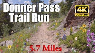 Virtual Trail Running Video for Treadmill | Donner Pass Trail | Roosevelt National Forest | Colorado