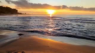 WINDY BEACH & SEA BIRD AMBIENCE. CALM SEA TO RELAX. RELAX