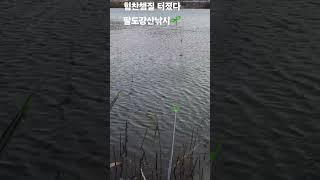 #힘찬챔질터졌다 #팔도강산낚시