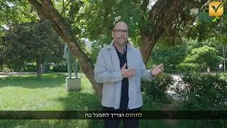 מה ההבדל בין רואה חשבון ליועץ עסקי ולמה יועץ עסקי זה חובה? - בני וזנה, יועץ אסטרטגי עסקי וכלכלן בכיר