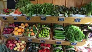 East End: Schmitt's Family Farm in Riverhead