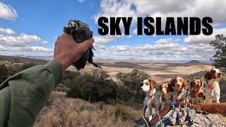 Sky Island Mearns!