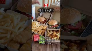 뭐? 산불이 났는데 문고리를 부쉈다고 ? #워홀 #캐나다 #워홀브이로그 #사스카툰 #CANADA #saskatoon