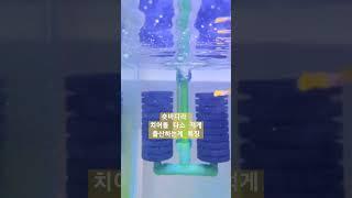 구피도감 몽키바나나편️