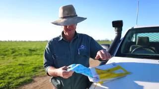 Australian Cotton, from Seed to Sock