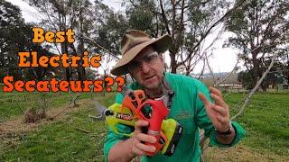 Electric Secateur Review. Best Electric Secateurs? Let's find out!