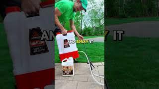 Rock Landscaping Hack Every Parent Needs to Know!