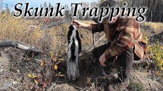 Early Season Skunk Trapping - Baited Pen Sets