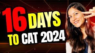 CAT 2024 Last Minute Tips - Don't Miss This! ️