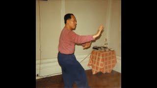 Double Palm Change from Yin Fu Ba Gua Zhang