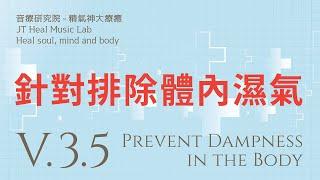 針對排除體內濕氣 (Prevent Dampness in the Body) - 3.5版本 - 請閱讀影片使用說明 (建議使用耳機聆聽)