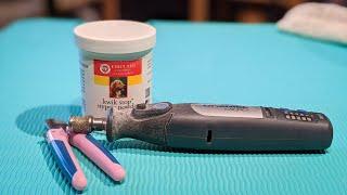 How to Trim Your Dogs Nails