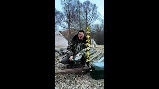 大兴安岭搭建野外小木屋#，正式开工#户外露营