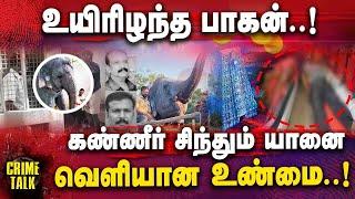 உயிரிழந்த பாகன்...கண்ணீர் விட்ட யானை! | Thiruchendur Elephant Incident | Thiruchendur Murugan temple