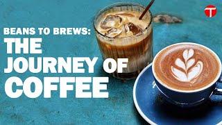 Beans to Brews: The Journey of Coffee | The Express Tribune