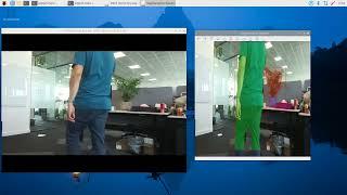 Raspberry Pi AI Kit | Subject segmentation: one is an engineer, the other is a desk plant