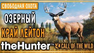 theHunter Call of the Wild #3  - Озерный Край Лейтон (часть 2) - Свободная Охота