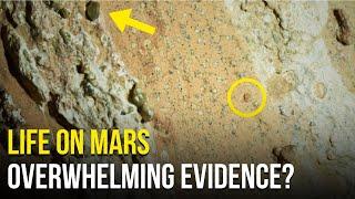 Perseverance Finds Evidence of Life on Mars? This Rock Shocked NASA!