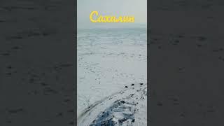 Сахалинская область Долинский район ПТН стародубское 28.02.2023