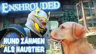 Hund zähmen in Enshrouded Early Access