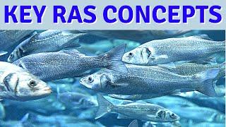 Key Concepts for Healthy Recirculating Aquaculture Systems, RAS Fish Farming