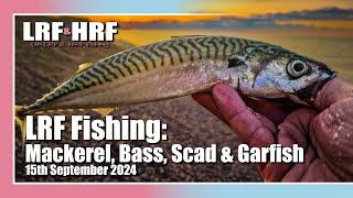 LRF Fishing: Mackerel Fishing in Devon