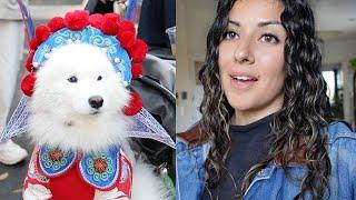 A dog parade, dating, & existential dread, an NYC vlog