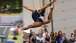 Nyla E. Smith -2017 Level 9 Highlights-