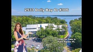 Palm Harbor Condo for Sale - 2533 Dolly Bay Drive #306, Palm Harbor FL