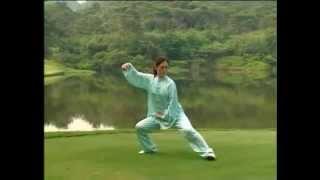 Tutorial Taijiquan Chen 56 Forms, 56陈式太极拳教学