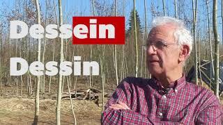 Mieux comprendre la permaculture avec l'Université Populaire de Permaculture