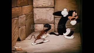Classic cortoon video very funny videos
