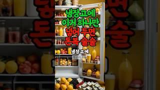 냉장고에 이것 두면 재물운 상승합니다 #재물운 #풍수 #운세