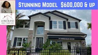 Stunning MI Model Home in Wesley Chapel | new homes in Tampa Suburbs | Lorie Bland Sells Tampa Bay