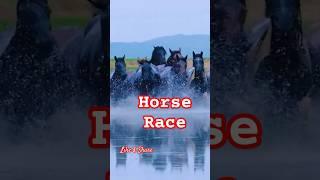 Wild Horses Galloping Into River  | Nature's Raw Beauty Unleashed! | Must Watch!