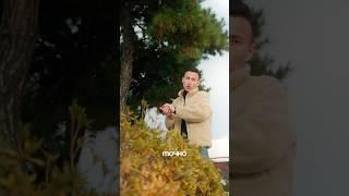 Актуальные цены на авто в Корее | доступные кроссоверы #автоизкореи #авто #автообзор #корея #бизнес