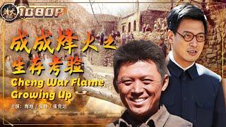 Cheng Cheng War Flame Growing Up | War Movie | Chinese War Theater