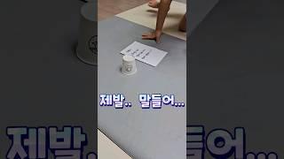 집에 불청객이 놀러왔다ㅋㅋㅋ