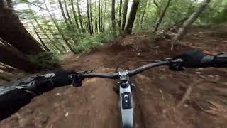 UCSC MTB | Wizard of Oz | Crestline S180 | 1.26.25
