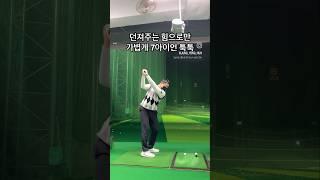 던져주는 힘으로만 가볍게 툭툭 #golf #골프연습 #골프스윙 #쇼츠 #골프레슨 #골프 #golfswing