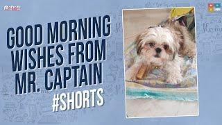 Happy Sunday Good morning wishes from Mr. Captain  #shorts #dhethadi