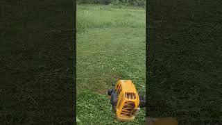 Lawnmower. Powerful work. Beautiful lawn.